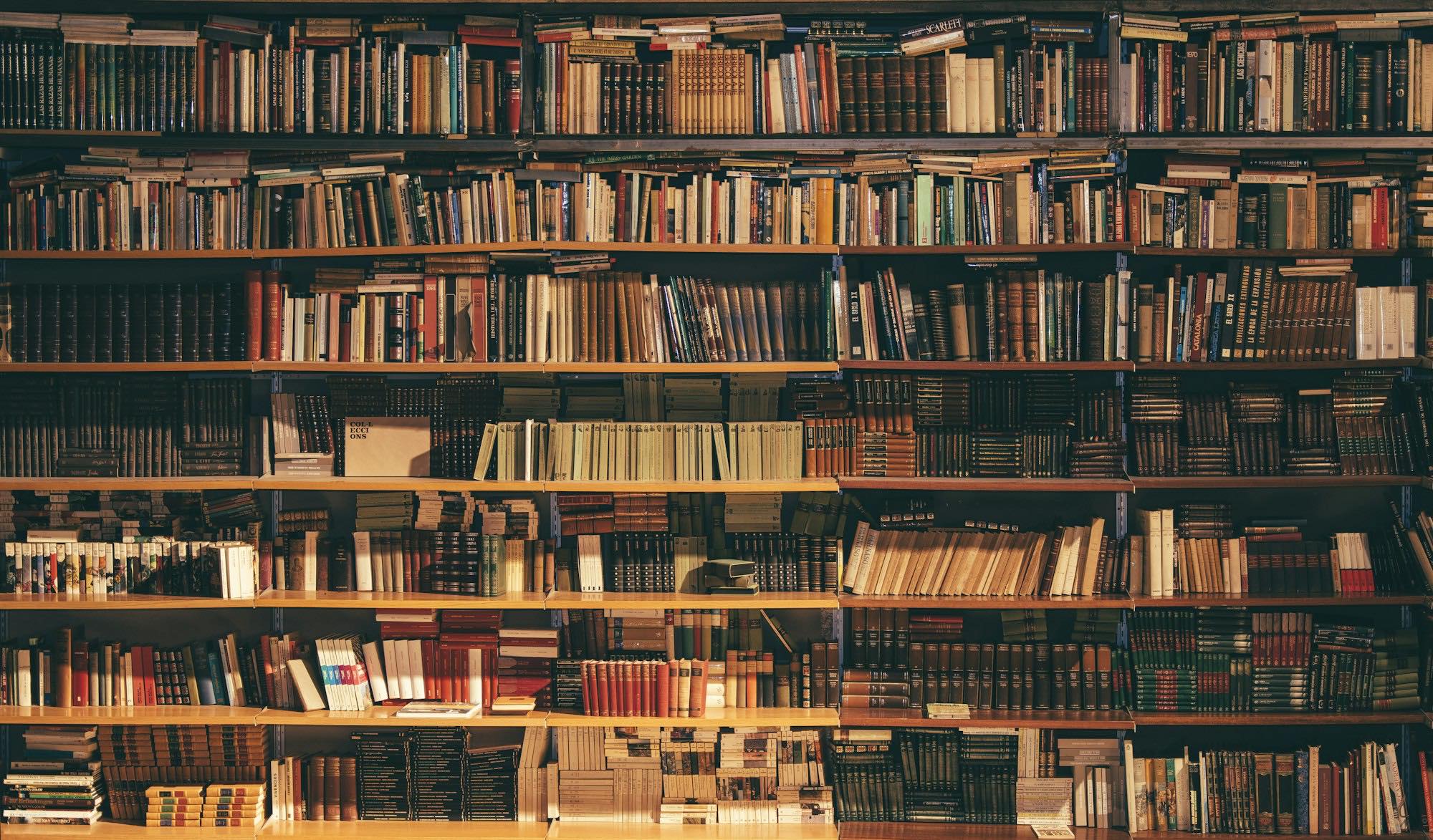 Library shelves filled with books in warm light