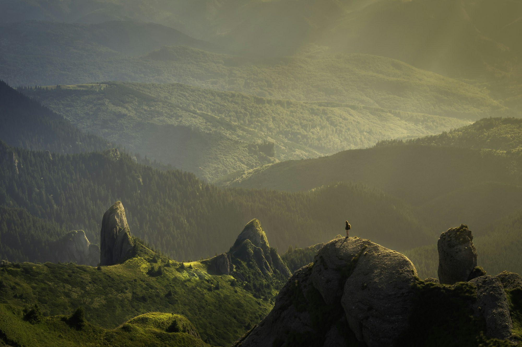 Sunlit forested mountain ridges in golden haze