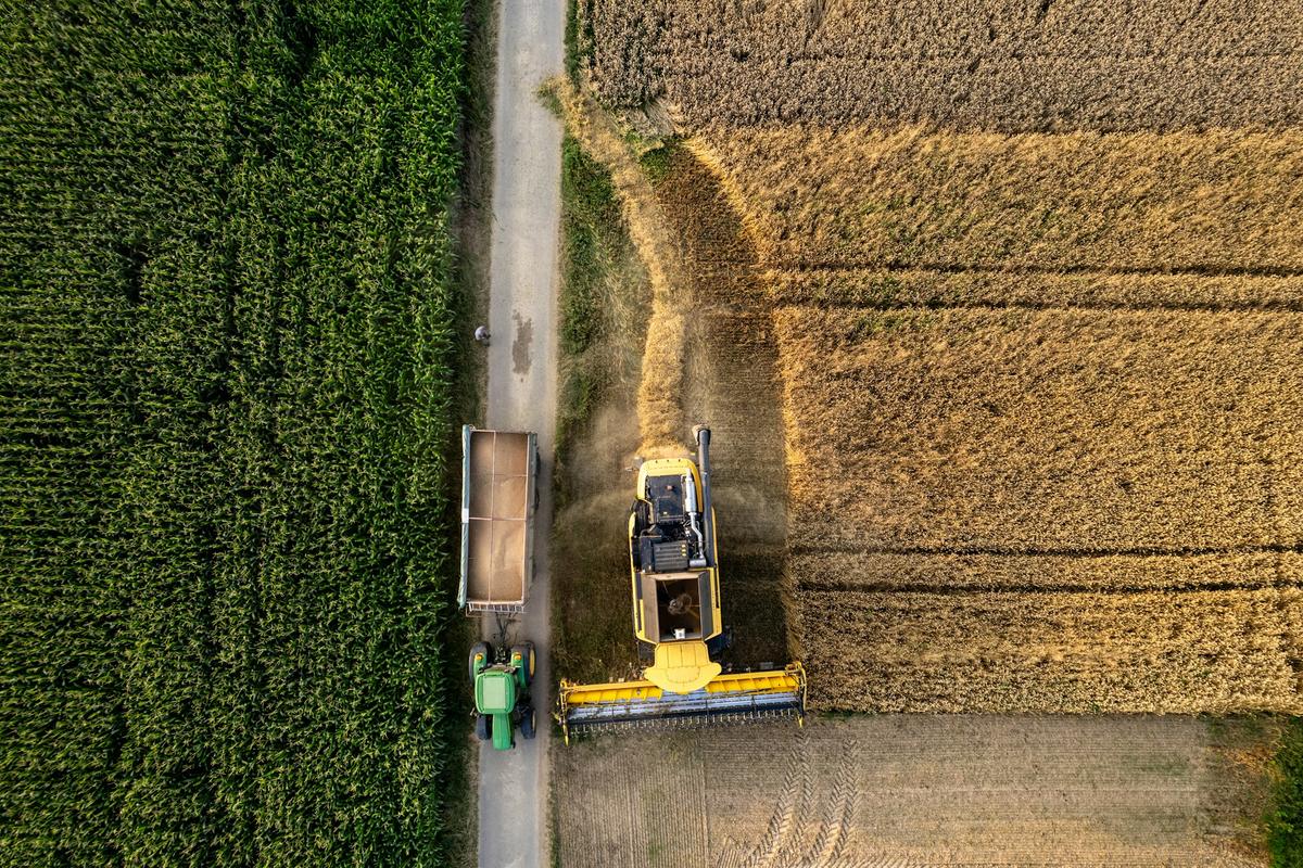 Aerial view of a tractor working a corn field